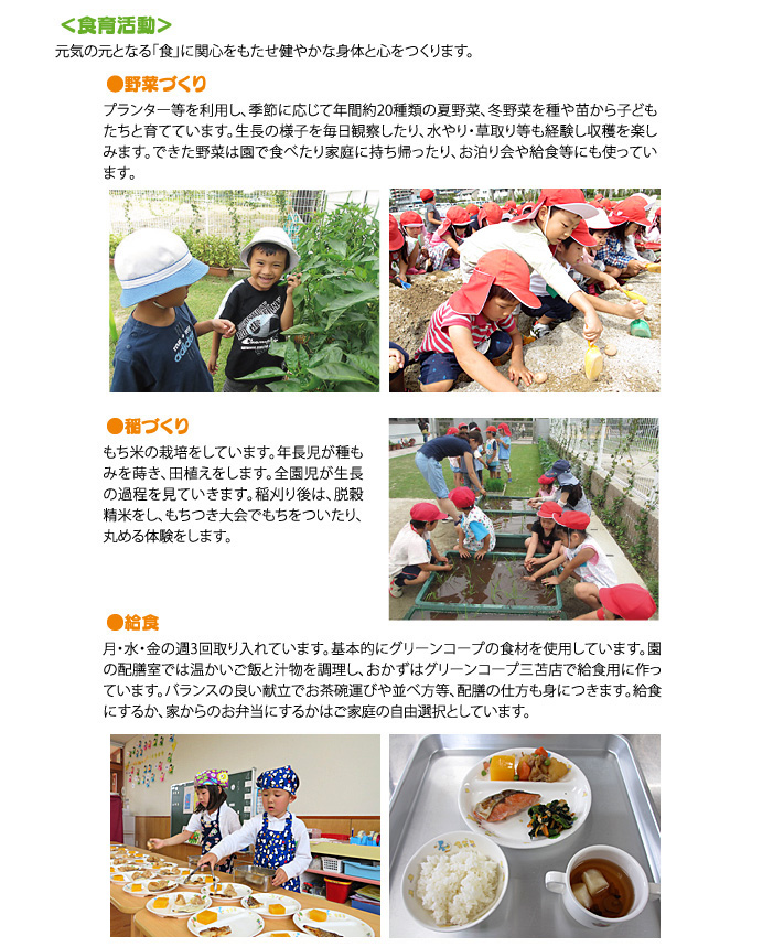 食育活動